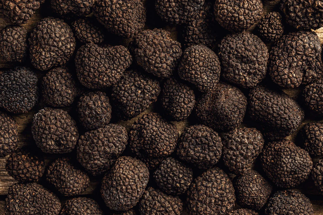 wholesale truffle