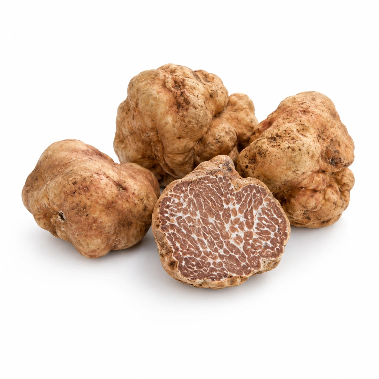 Bianchetto Truffle – Tuber borchii