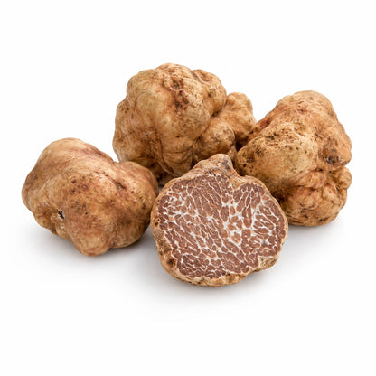 Bianchetto Truffle – Tuber borchii