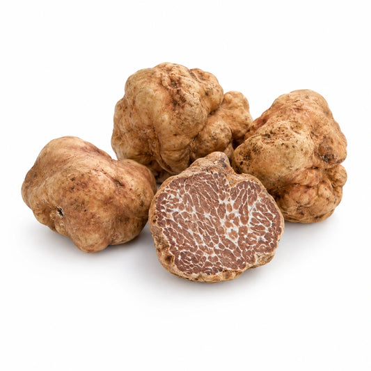 Bianchetto Truffle – Tuber borchii
