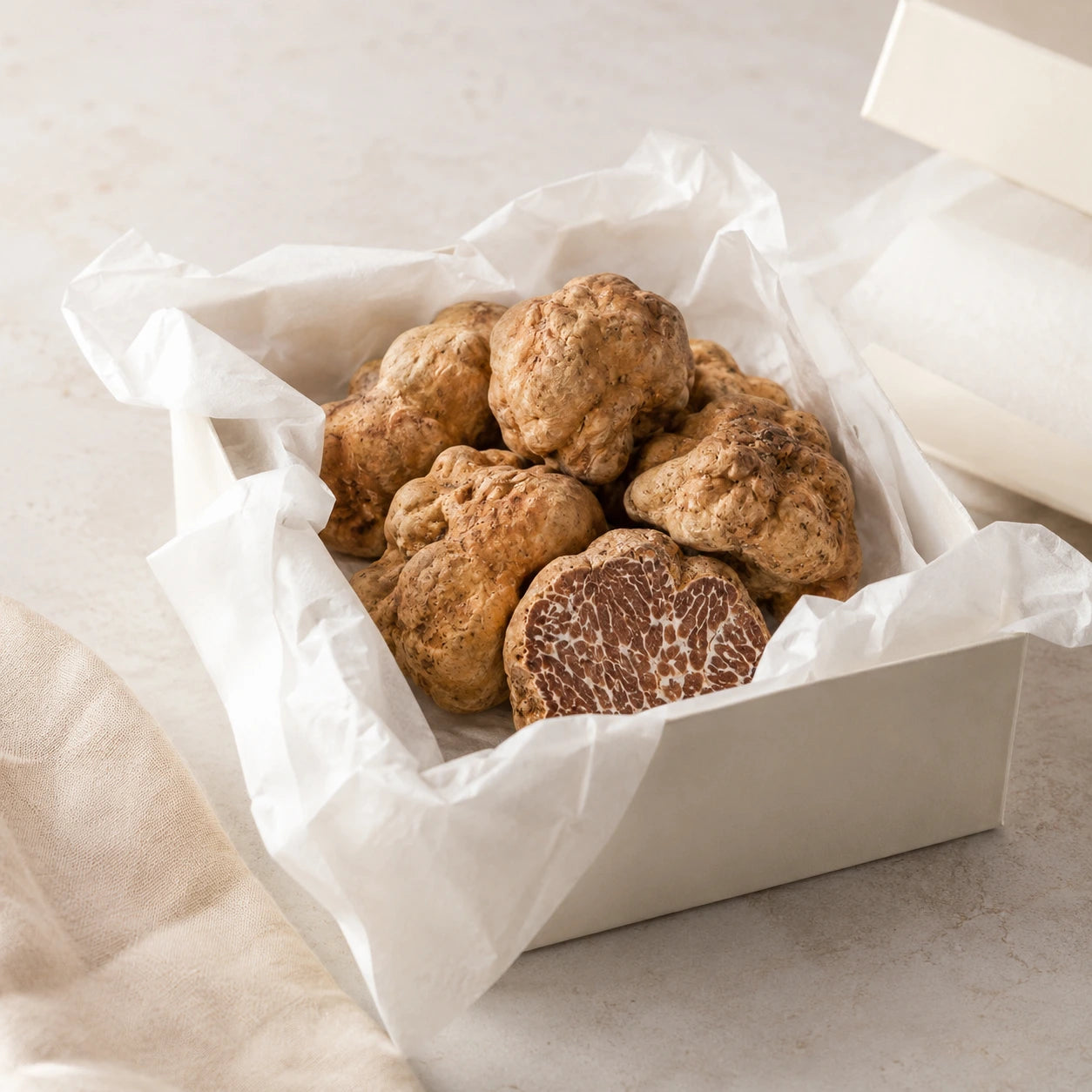 Bianchetto Truffle – Tuber borchii