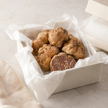 Bianchetto Truffle – Tuber borchii