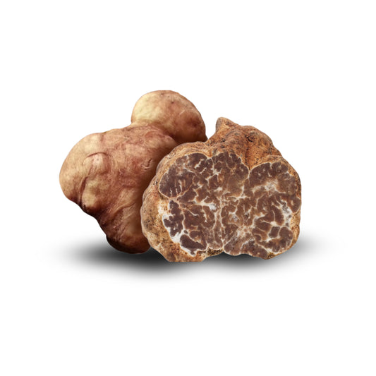 Bianchetto Truffle – Tuber borchii